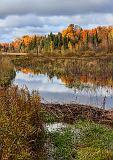 Autumn Beaver Dam_23399